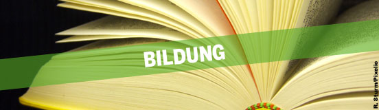bildung bildung